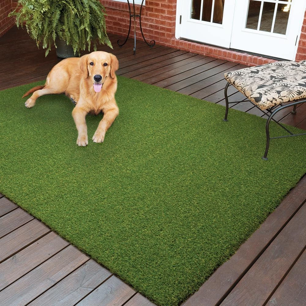 Pet 7.5 ft. x 13 ft. Green Artificial Grass Rug by TrafficMaster - Image 2