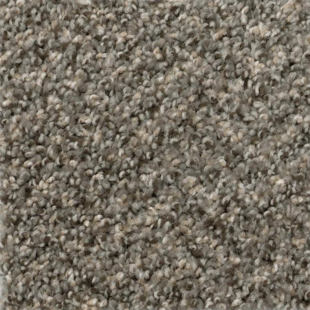 Gallop - Color Maverick Indoor 12 ft. Texture Gray Carpet (1080 sq. ft./Roll) by TrafficMaster