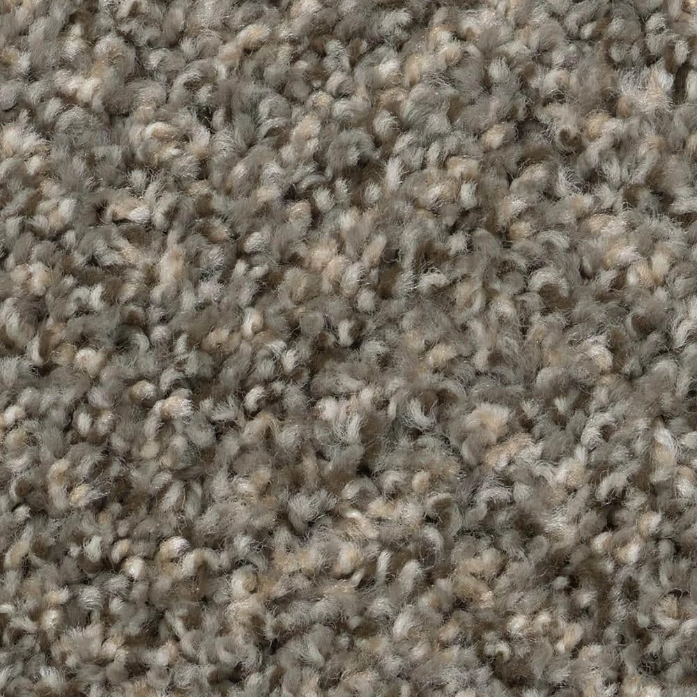 Gallop - Color Maverick Indoor 12 ft. Texture Gray Carpet (1080 sq. ft./Roll) by TrafficMaster - Image 7