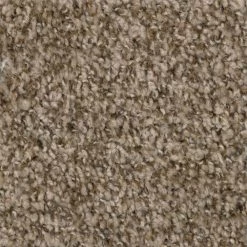 Hartsfield - Color Skypoint Indoor 12 ft. Texture Beige Carpet (1080 sq. ft./Roll) by TrafficMaster