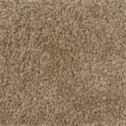 Hot Shot II - Color Tuscan Indoor 12 ft. Texture Beige Carpet by TrafficMaster