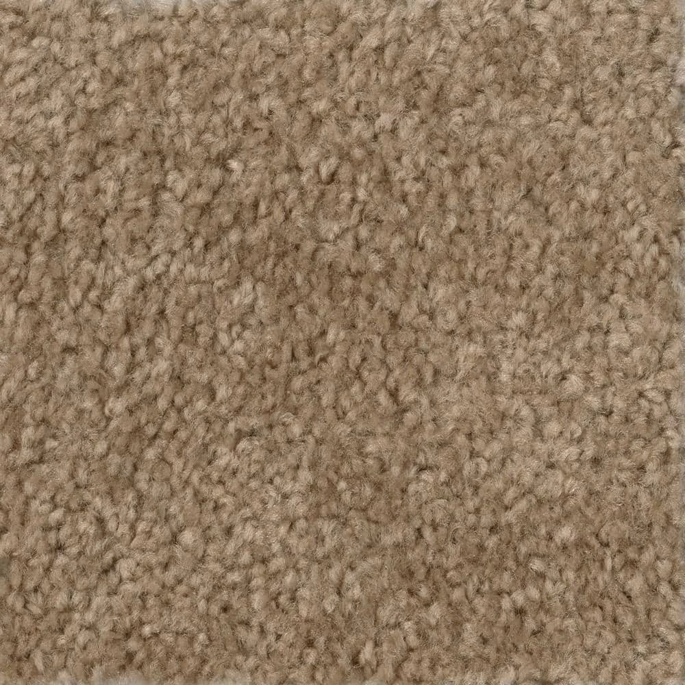 Hot Shot II - Color Tuscan Indoor 12 ft. Texture Beige Carpet by TrafficMaster
