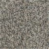 Prancer - Color Woodland Indoor 12 ft. Texture Beige Carpet (1080 sq. ft./Roll) by TrafficMaster