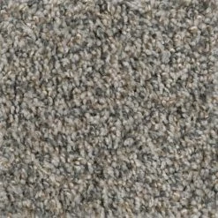Prancer - Color Woodland Indoor 12 ft. Texture Beige Carpet (1080 sq. ft./Roll) by TrafficMaster